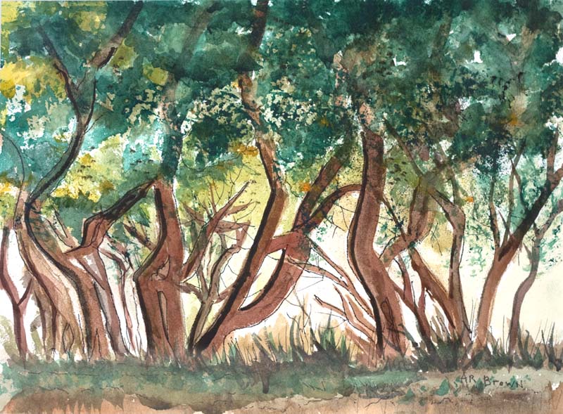 ARB_034.jpg