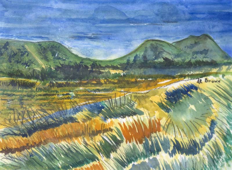 ARB_067.jpg
