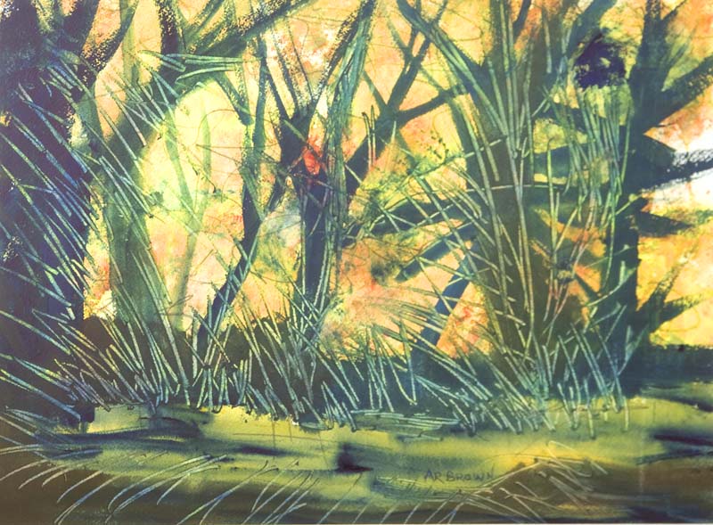ARB_262.jpg
