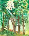 ARB_059