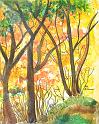 ARB_063