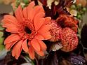 Wedding_049