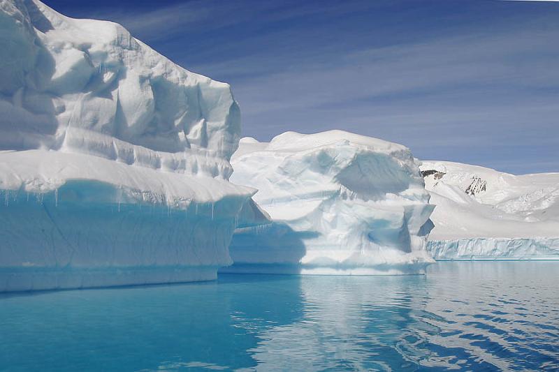 IMG_3340 You can see the bottoms of the bergs through the water.