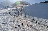 IMG_3217 Penguin trails/toboggan runs.