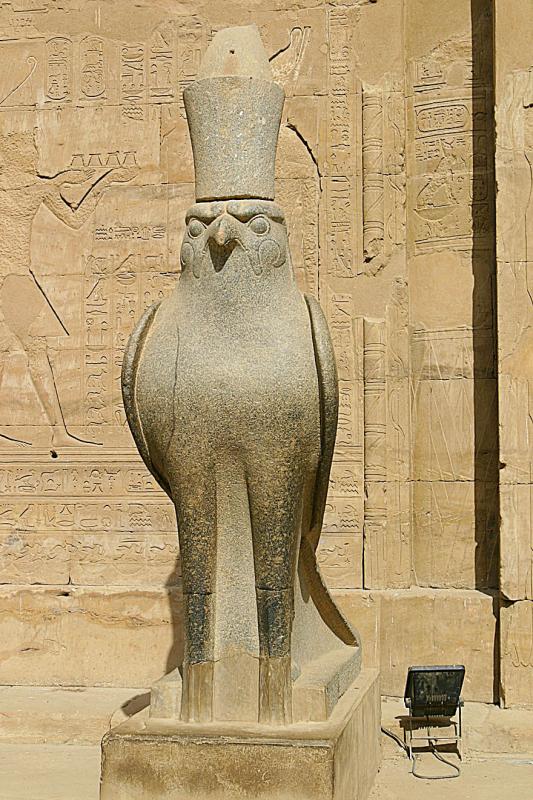 IMG_1994 Horus says howdy.
