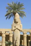 IMG_1937 Ramses with a tree growing from his head.