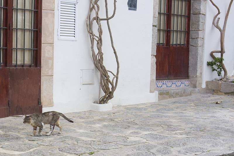 GM050_Ibiza_044.jpg