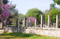 GM090_Olympia_028