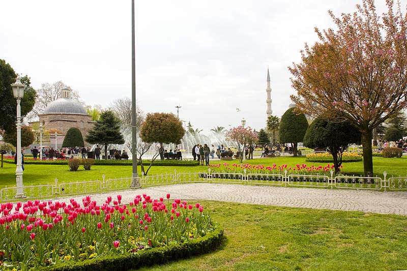 GM100_Istanbul_144.jpg