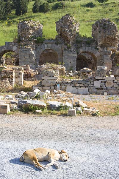 GM170_Ephesus_021.jpg
