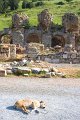 GM170_Ephesus_021