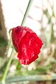 GM170_Ephesus_023