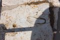 GM170_Ephesus_120