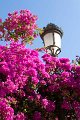 GM200_Cadiz_071
