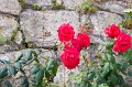 GM210_Lisbon_029