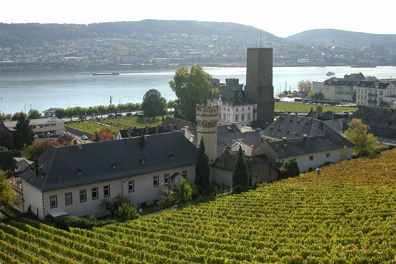 DSCN1397 View of Rudesheim.