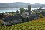 DSCN1397 View of Rudesheim.