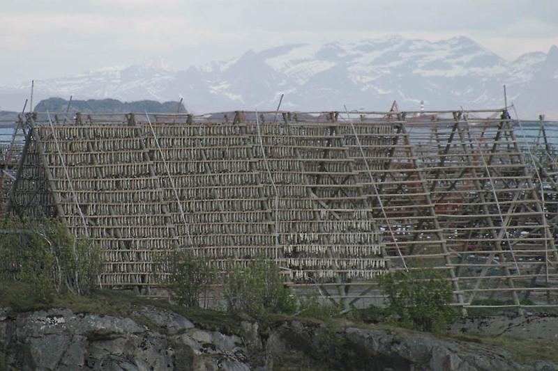 IMG_0551 Racks covered with drying fish.