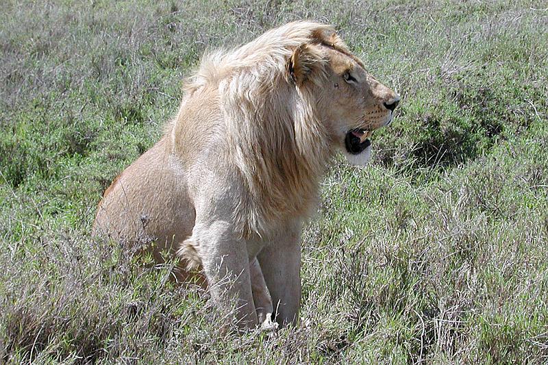 DSCN2167 A big guy posing for us.