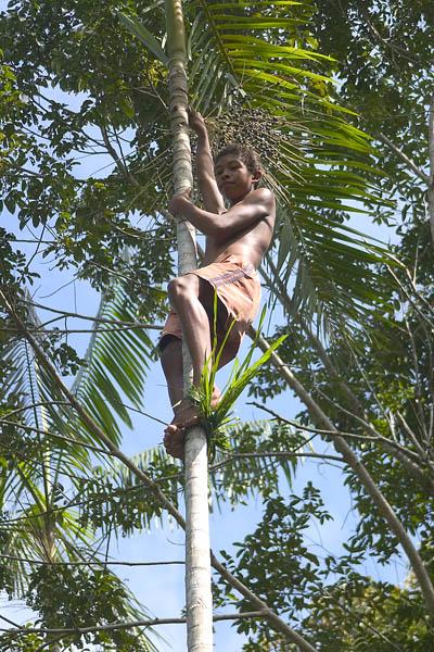 CRW_4989 Nov. 21, 2006 - Belem, Brazil.  A boy showing us how he get fruit from the tree.