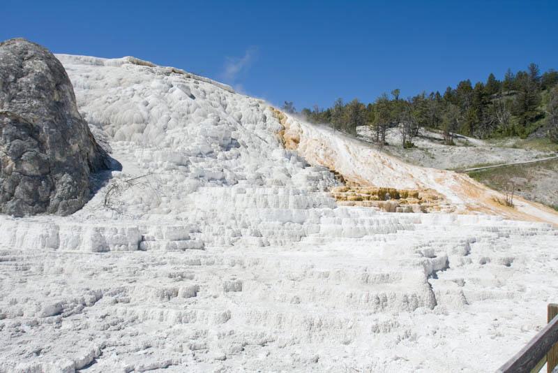 YGT_257.jpg - Tauck Tour - Yellowstone & Grand Tetons