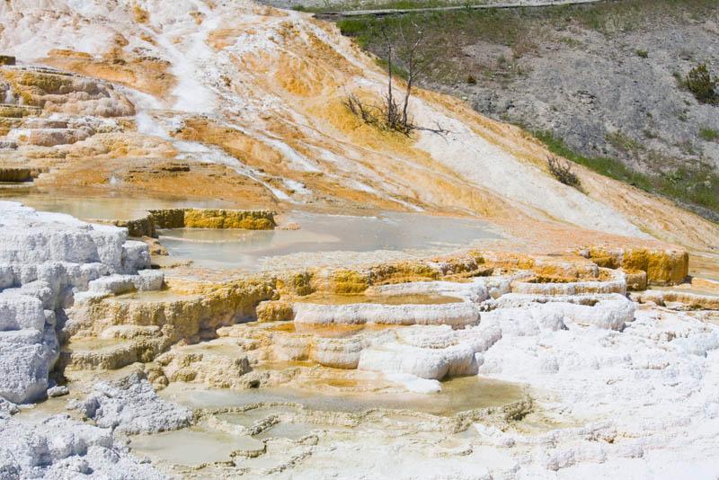 YGT_259.jpg - Tauck Tour - Yellowstone & Grand Tetons