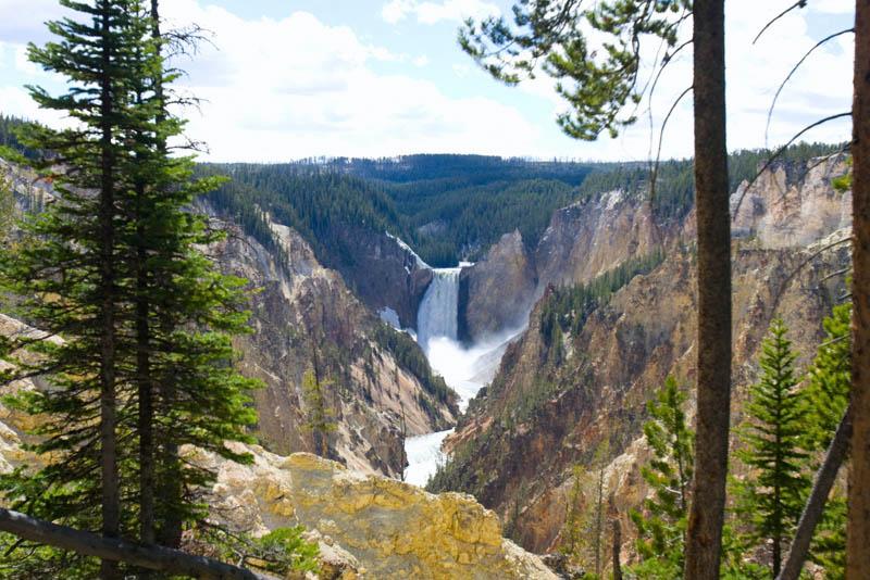 YGT_303.jpg - Tauck Tour - Yellowstone & Grand Tetons