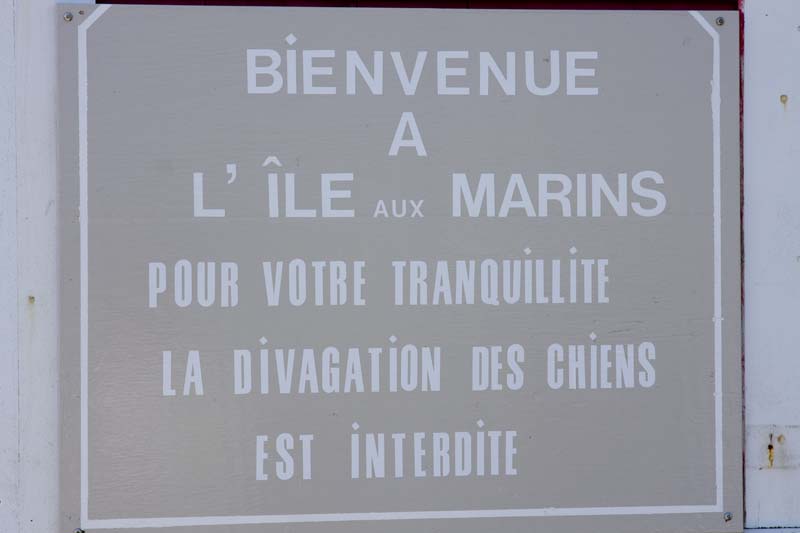 VOV_010_StPierre__0049.jpg