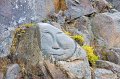 VV030_Qaqortoq_055