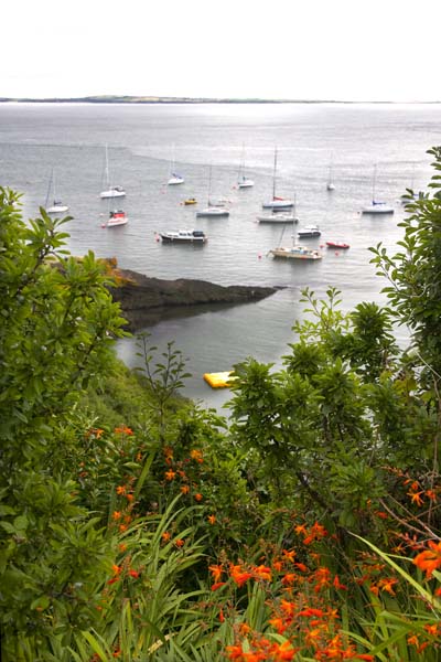 VV130_Dunmore_027.jpg