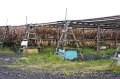 VV170_Reykjavik_012