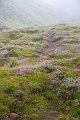 VV170_Reykjavik_024