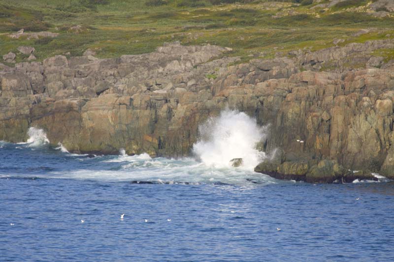 VV190_Newfoundland_023.jpg