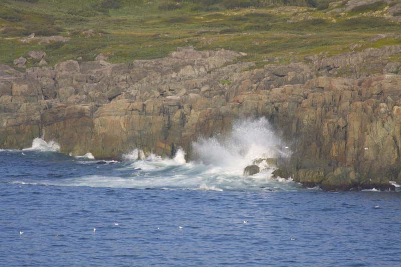 VV190_Newfoundland_024.jpg