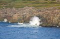 VV190_Newfoundland_023