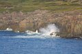 VV190_Newfoundland_024